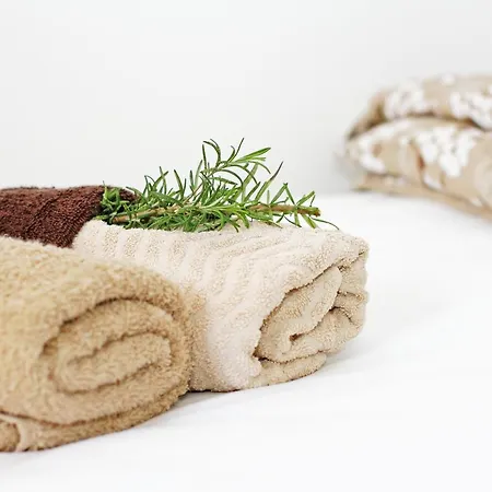 Du Lux 2 Apartment *